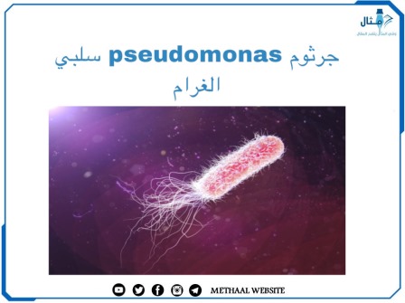 جرثوم ال Pseudomonas سلبي الغرام