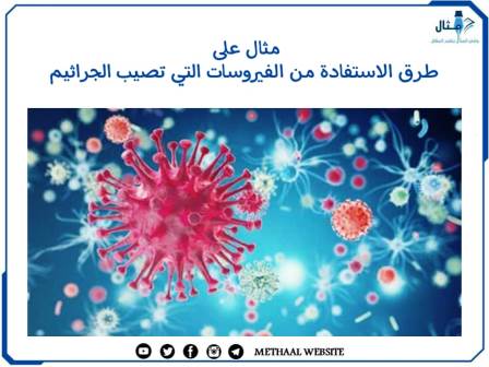 مثال على طرق الاستفادة من الفيروسات التي تصيب الجراثيم