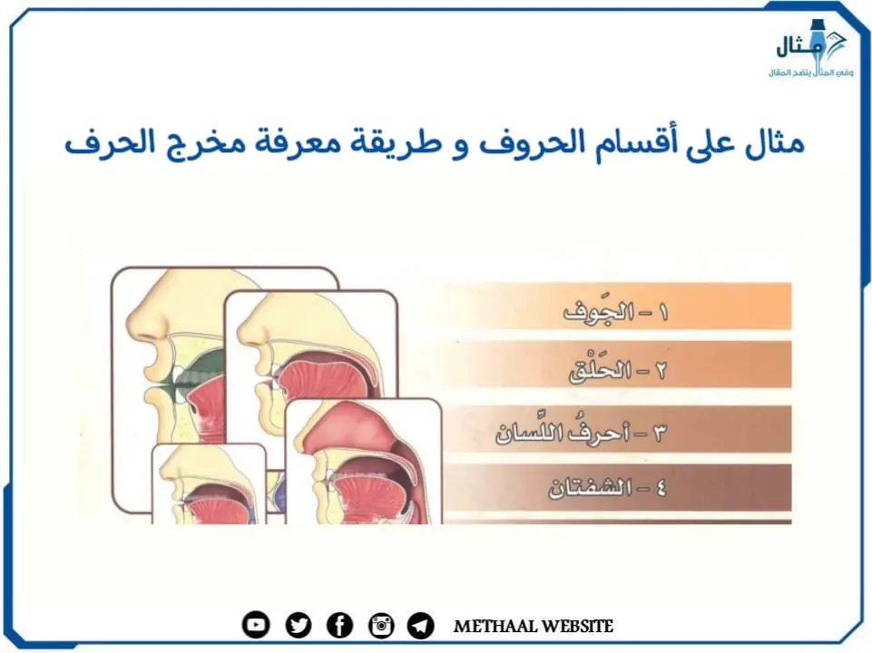 ما هي أقسام الحروف الهجائية ومخارجها  في اللغة العربية ؟ مع شرحها بطيقة مبسطة