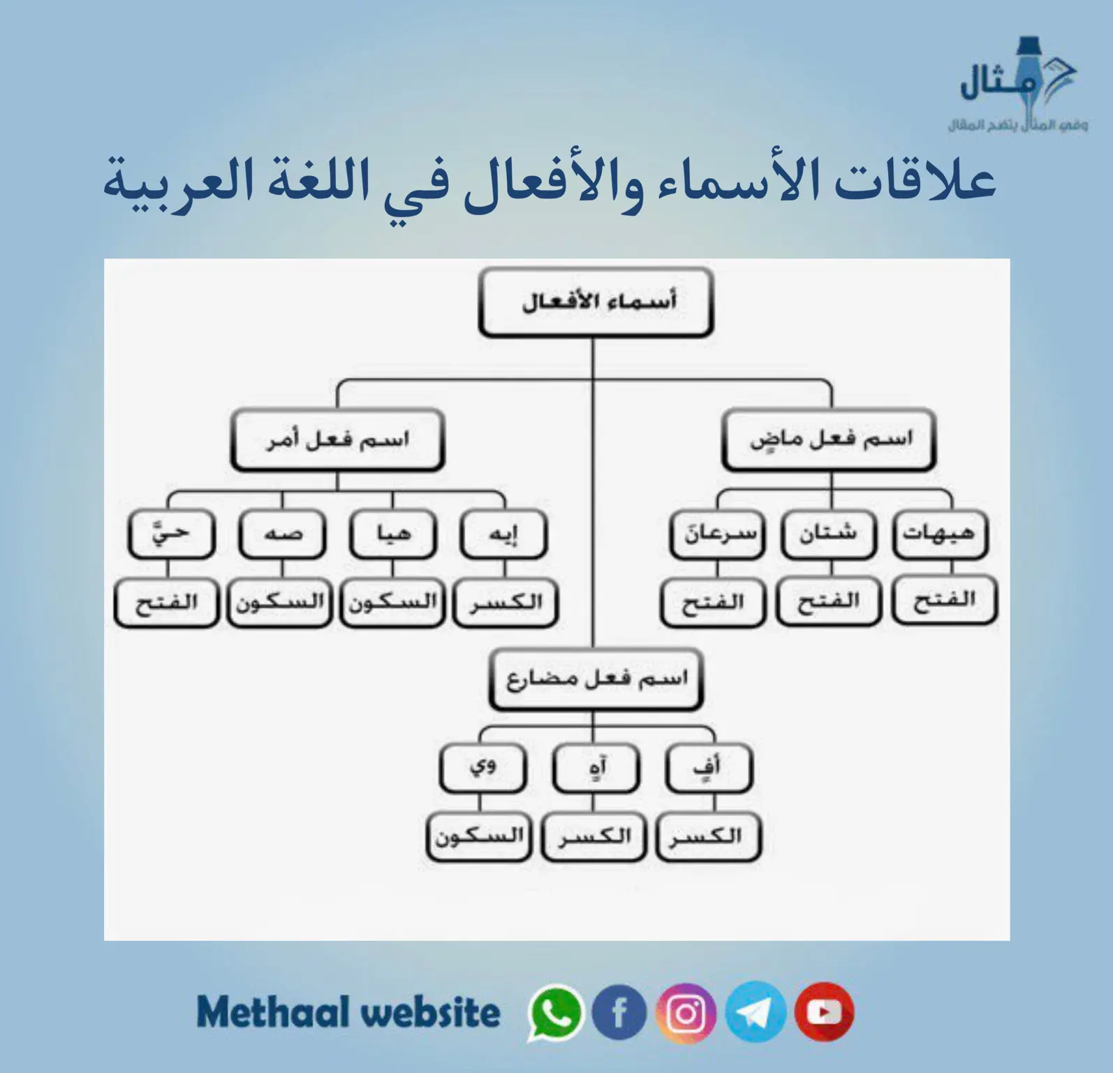 علاقات الأسماء والأفعال في اللغة العربية 