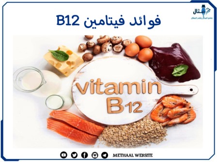 مثال على  فوائد فيتامين B12