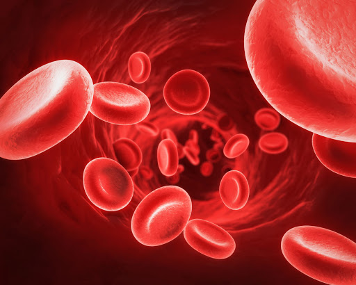 فقر الدم  الأسباب والأعراض والعلاج