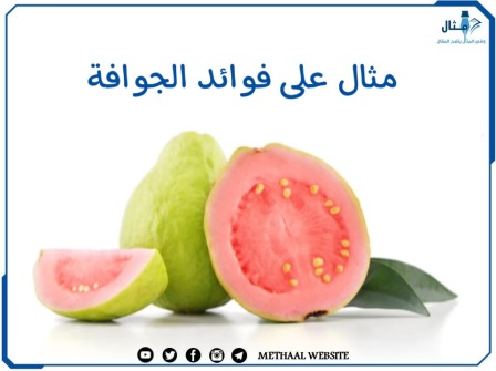 مثال على فوائد الجوافة