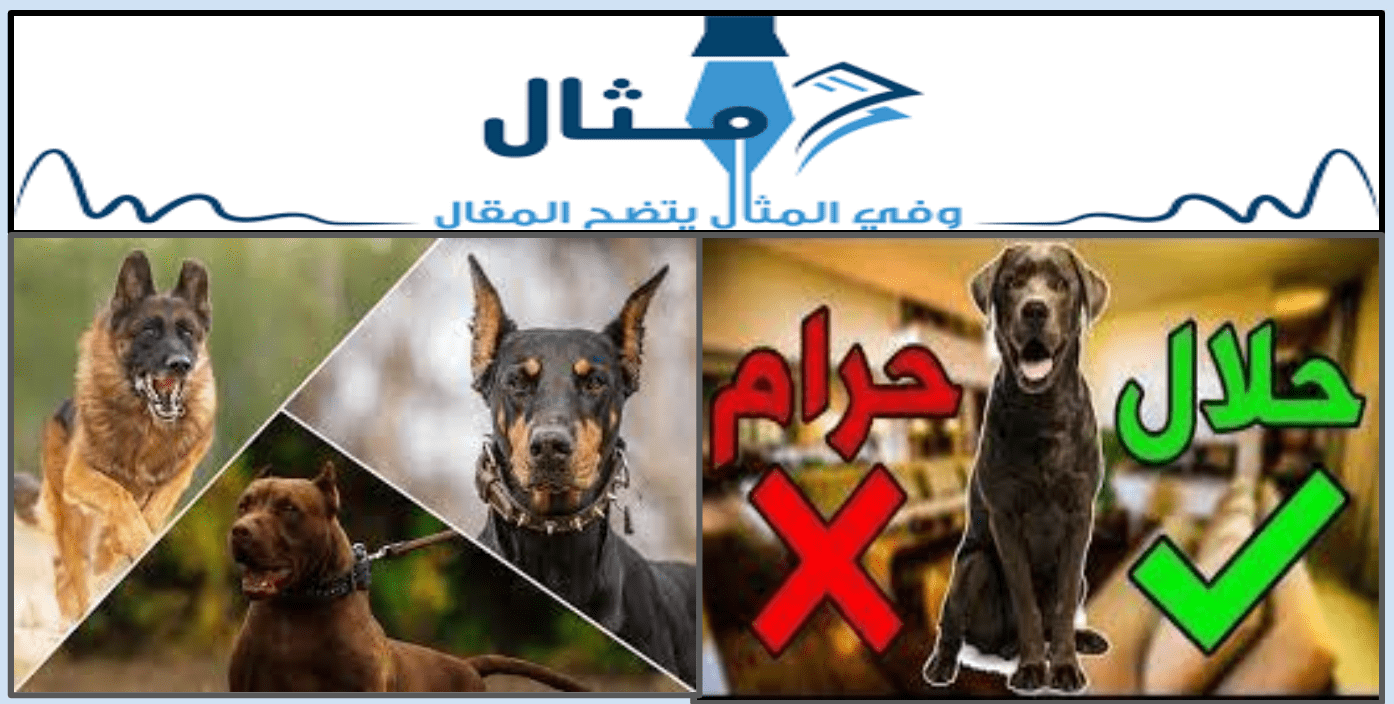 حكم تربية الكلاب وطهارتها والتجارة بها في الإسلام 