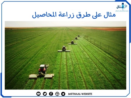 مثال على طرق زراعة المحاصيل 