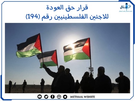 قرار حق العودة للاجئين الفلسطينيين رقم (194)