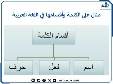 مثال على الكلمة وأقسامها في اللغة العربية